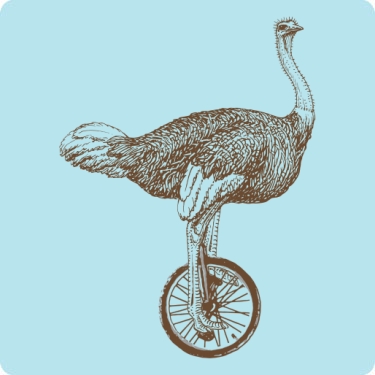 Ostrich Unicycle T-Shirt