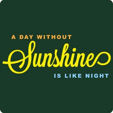 A Day without Sunshine Tee