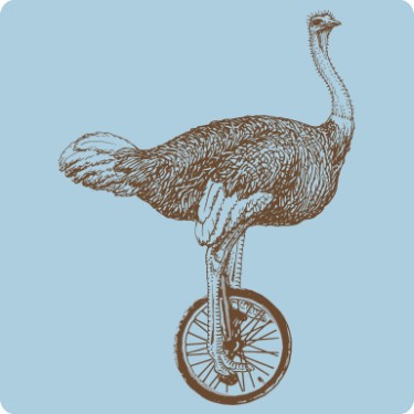 Ostrich on a Unicycle T-Shirt